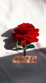 1699828340500.jpeg 1699828340500.jpeg