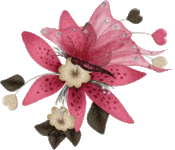IMG_1956.gif IMG_1956.gif