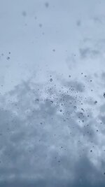 IMG_8764.jpeg