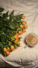 913fac24956239b4d4c468f635d361b4.jpg 913fac24956239b4d4c468f635d361b4.jpg