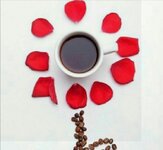 IMG_٢٠٢٣٠٩٠٨_١٦٤٣٥٢.jpg IMG_٢٠٢٣٠٩٠٨_١٦٤٣٥٢.jpg