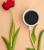 IMG_٢٠٢٣٠٩٠٨_١٦٤١٤٤.jpg IMG_٢٠٢٣٠٩٠٨_١٦٤١٤٤.jpg