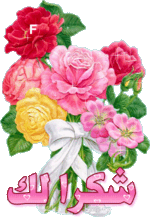 13280910.gif 13280910.gif