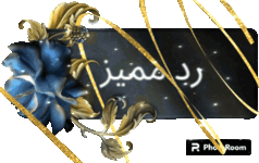 20231121_182629.gif 20231121_182629.gif