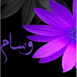 ٢٠٢٣١١٢٢_١٨٠٧٢٥.gif ٢٠٢٣١١٢٢_١٨٠٧٢٥.gif