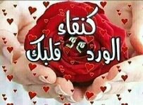 1700685650586.jpeg 1700685650586.jpeg