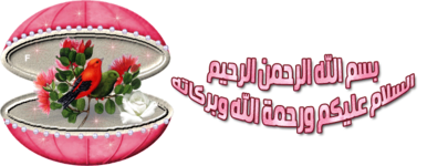 IMG_6875.png