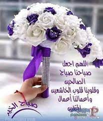 1701239340252.png 1701239340252.png