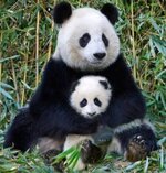 1701955800808.jpeg 1701955800808.jpeg