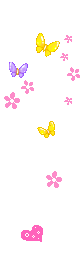 1702374321647.gif