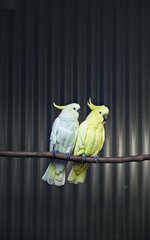 Screenshot_٢٠٢٣١٠١٧_١٨٣٢٥١_One UI Home.jpg