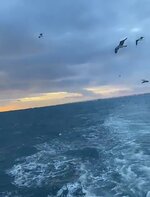 IMG_7334.jpeg