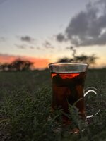 IMG_0781.jpeg