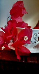 ٢٠٢٣١٢١٥_١٠٢٤٠١.jpg ٢٠٢٣١٢١٥_١٠٢٤٠١.jpg