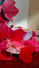 ٢٠٢٣١٢١٥_١٠٢٢٤٦.jpg ٢٠٢٣١٢١٥_١٠٢٢٤٦.jpg