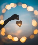 IMG_9702.jpeg IMG_9702.jpeg