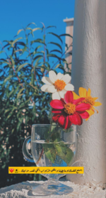 1703446986378.png