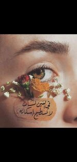 image (15).jpeg
