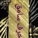 ٢٠٢٣١٢٢١_٢٣١٨٣٣.gif ٢٠٢٣١٢٢١_٢٣١٨٣٣.gif