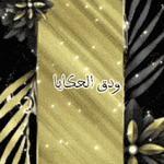 ٢٠٢٣١٢٢٢_٠٨٥٤٣٩.gif ٢٠٢٣١٢٢٢_٠٨٥٤٣٩.gif