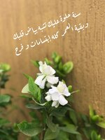 1704200711472.jpeg 1704200711472.jpeg