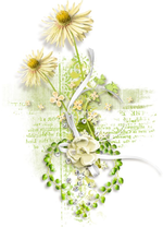 1704613143036.png 1704613143036.png