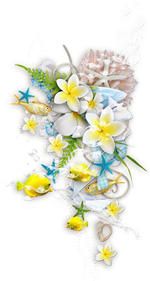 1704613169400.png 1704613169400.png