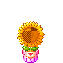 1704613731249.png 1704613731249.png