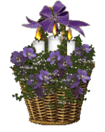 1704613906520.png 1704613906520.png