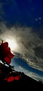 ٢٠٢٤٠١٠٦_١٤٤٢١٣.jpg ٢٠٢٤٠١٠٦_١٤٤٢١٣.jpg