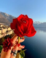 1705009240234.jpeg 1705009240234.jpeg