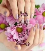 1705123182977.jpeg 1705123182977.jpeg