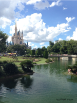 IMG_20211025_233946.png IMG_20211025_233946.png