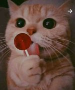 ٢٠٢١١١٠٨_٠٧٣٧٥٧.jpg