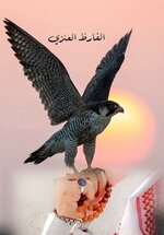 IMG_4292.png