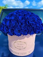 IMG_0642.jpeg IMG_0642.jpeg