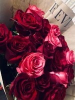 IMG_0643.jpeg IMG_0643.jpeg