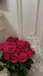 IMG_0681.jpeg