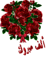 13456603765.gif 13456603765.gif