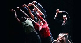 IMG_7919.jpeg IMG_7919.jpeg