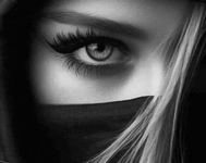 1707644925249.png 1707644925249.png