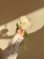 IMG_1423.jpeg IMG_1423.jpeg