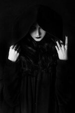 IMG_8416.jpeg