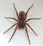 IMG_5206.jpeg