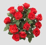 roses-1870946_960_720.jpg