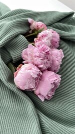 997fd235-08e4-469b-b913-b15b57370e50.jpeg 997fd235-08e4-469b-b913-b15b57370e50.jpeg