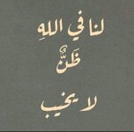 IMG_2352.jpeg