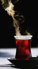 IMG_2355.jpeg IMG_2355.jpeg