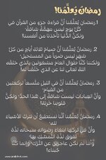 IMG_2291.jpeg