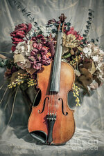 violin-and-flowers-chellie-bock.jpg